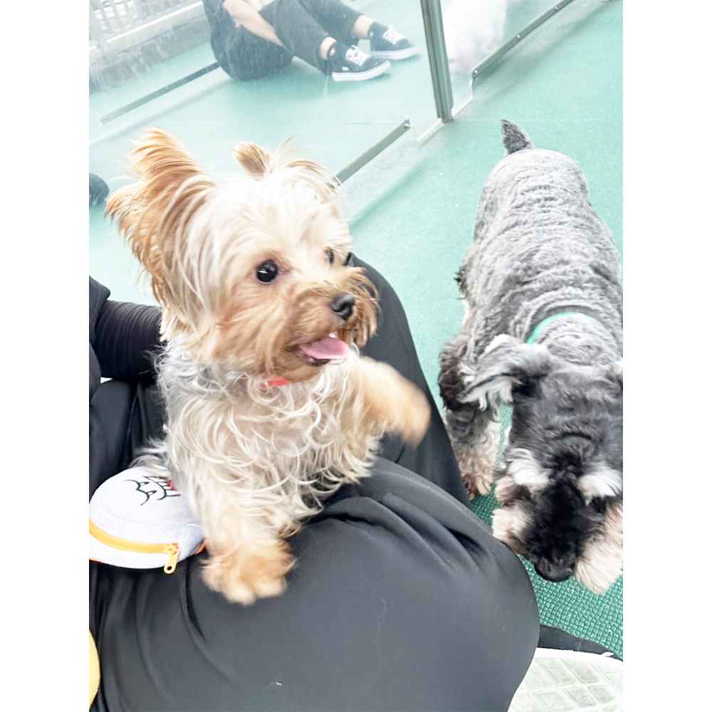 Ｗａｎ活で生徒が撮影した写真♪①